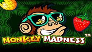 machine à sous Monkey Madness par Pragmatic play