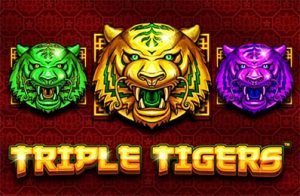 machine à sous Triple Tigers par Pragmatic play