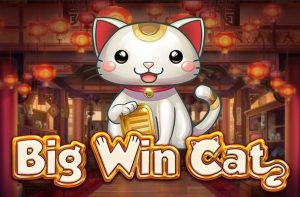 machine à sous Big Win Cat par Play n Go